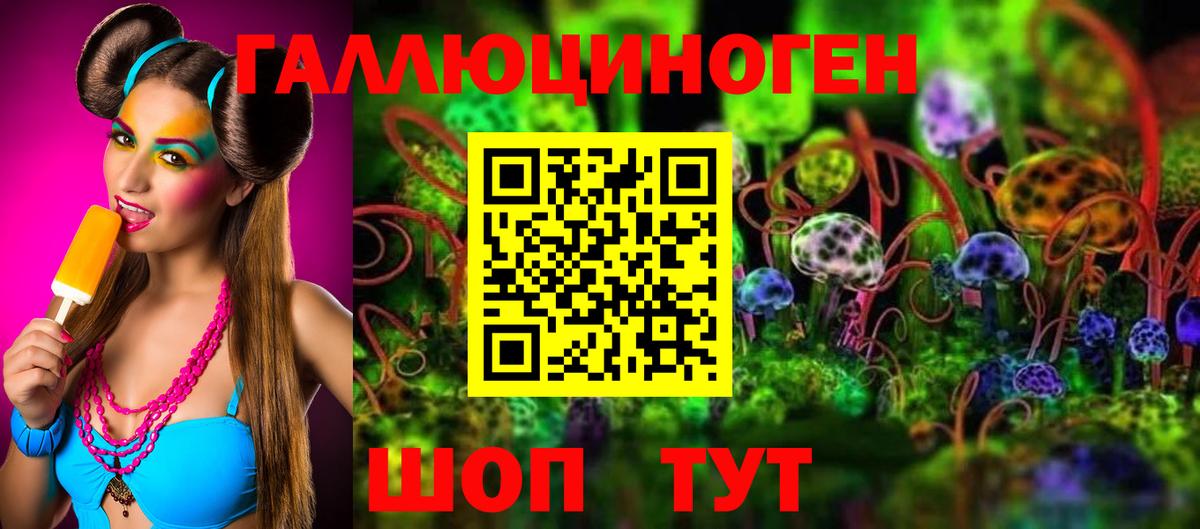 Борзя  где найти   Галлюциногенные грибы Psilocybe  Вход с VPN  Псилоцибиновые грибы Psilocybine cubensis 