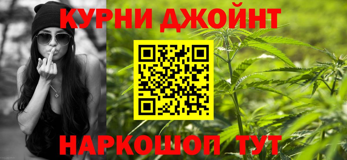 Бошки Шишки конопля Борзя